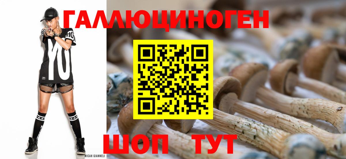 Галлюциногенные грибы Psilocybine cubensis  Псилоцибиновые грибы GOLDEN TEACHER  Киреевск  Вход с VPN 